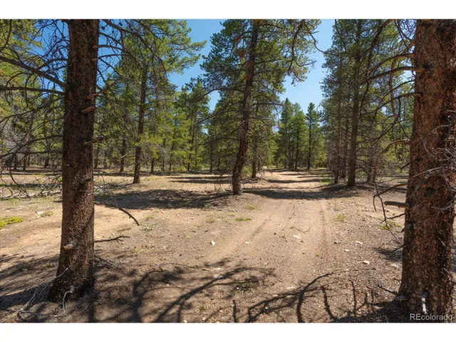 a view of road with trees