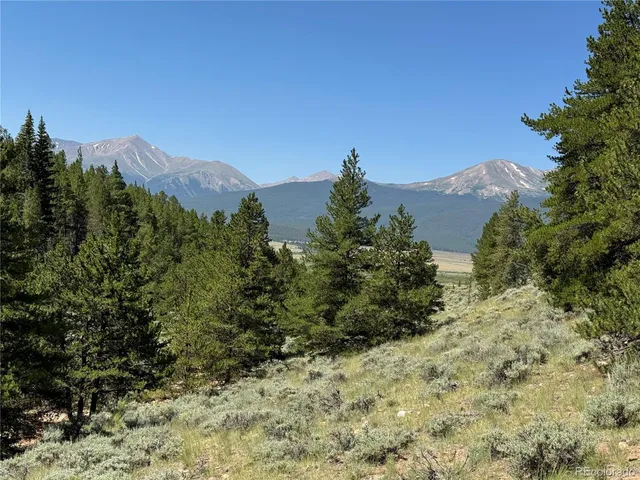 a view of a dry yard with mountains in the background