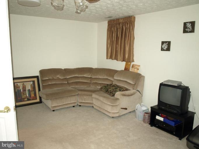 12585 Rock Ridge Road Herndon, VA 20170 - Photo 7 of 9 Recreation Room
