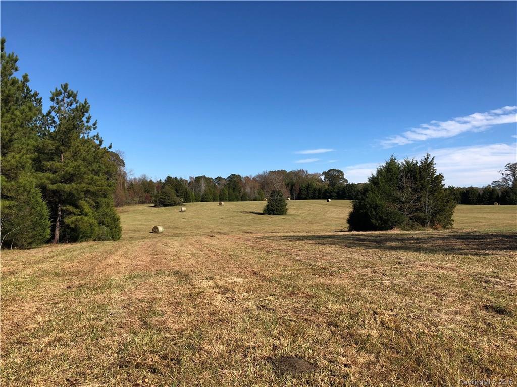 0 Greenbriar Drive Lancaster, SC 29720 - Photo 8 of 11