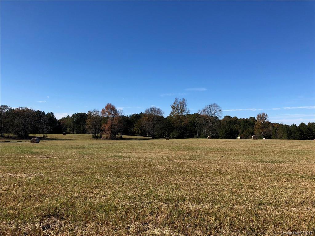 0 Greenbriar Drive Lancaster, SC 29720 - Photo 10 of 11