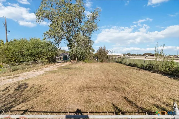 a view of a yard with a tree