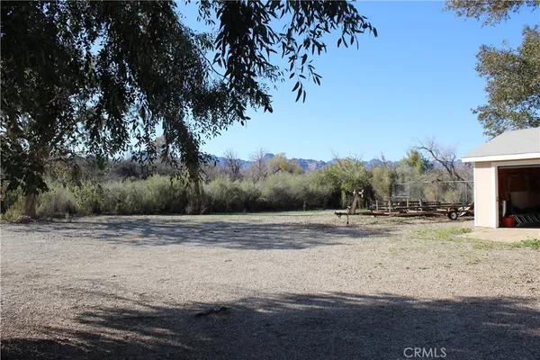 a view of dirt yard with large trees