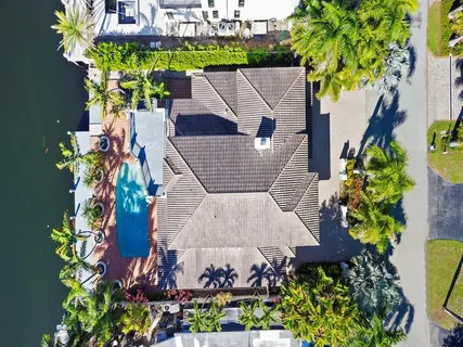 a picture of a lot of flowers