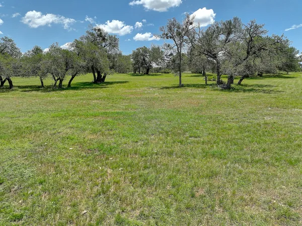 a view of a field with an ocean