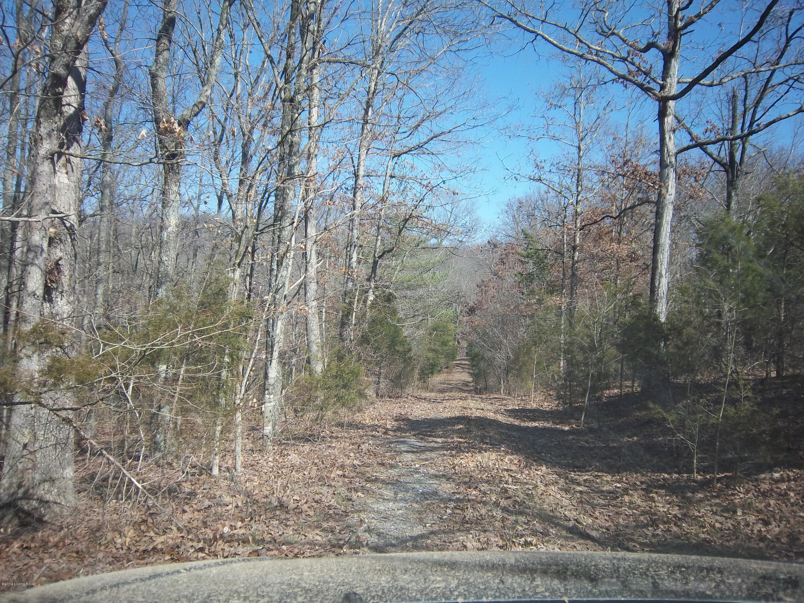 3 Green Valley Ranch Road Battletown, KY 40104 - Photo 5 of 25 green valley driveway