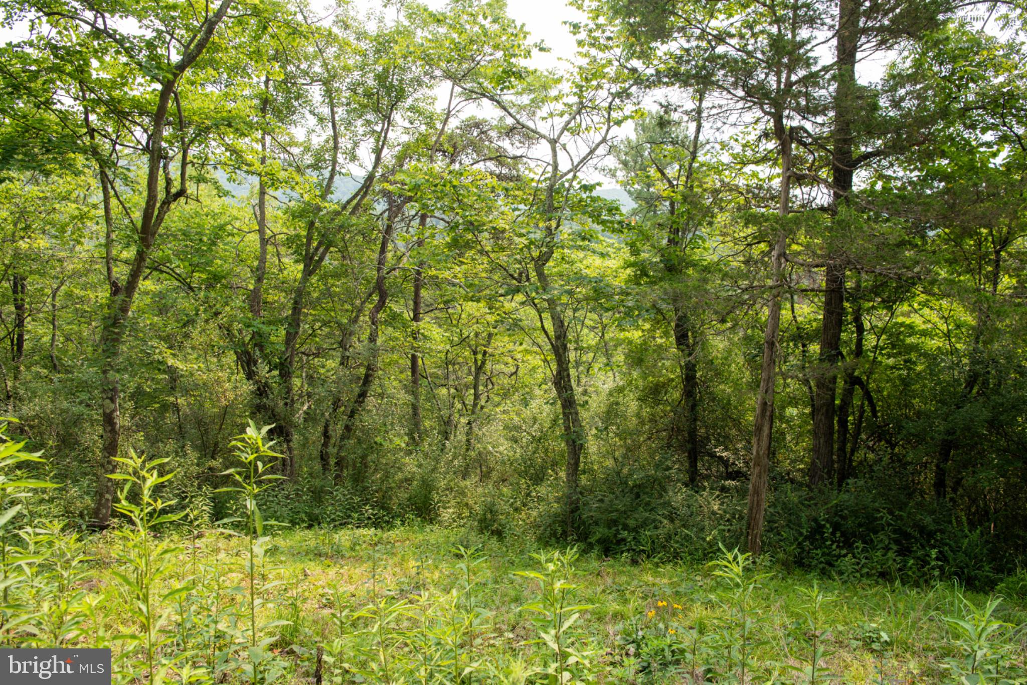 78 Valley View Road Lost City, WV 26810 - Photo 57 of 68