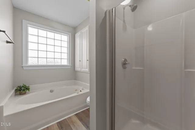 a bathroom with a bath tub and a shower