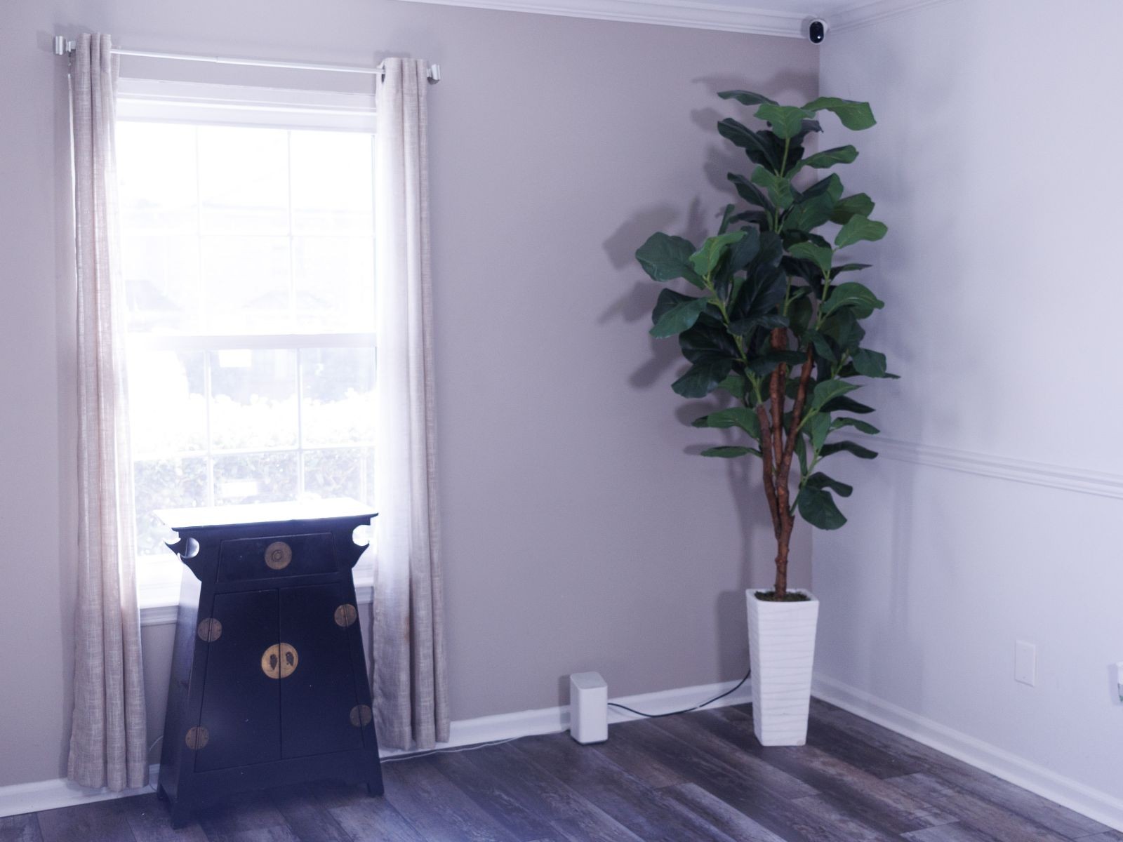 238 Ellington Place Madison, TN 37115 - Photo 2 of 10 a view of bathroom with a potted plant