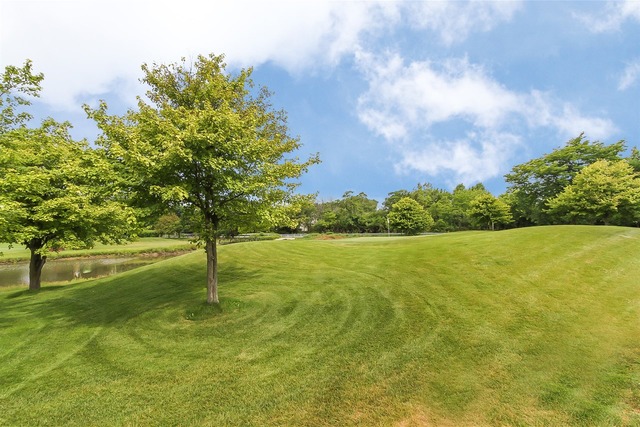 628 Raintree Road Buffalo Grove, IL 60089 - Photo 24 of 25