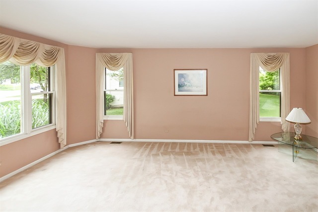 628 Raintree Road Buffalo Grove, IL 60089 - Photo 5 of 25