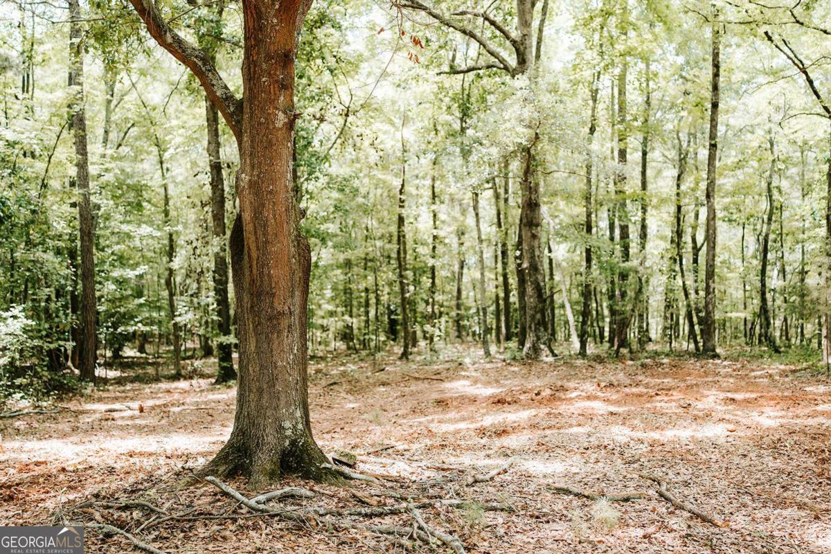 2605 Union Point Road Union Point, GA 30669 - Photo 1 of 1