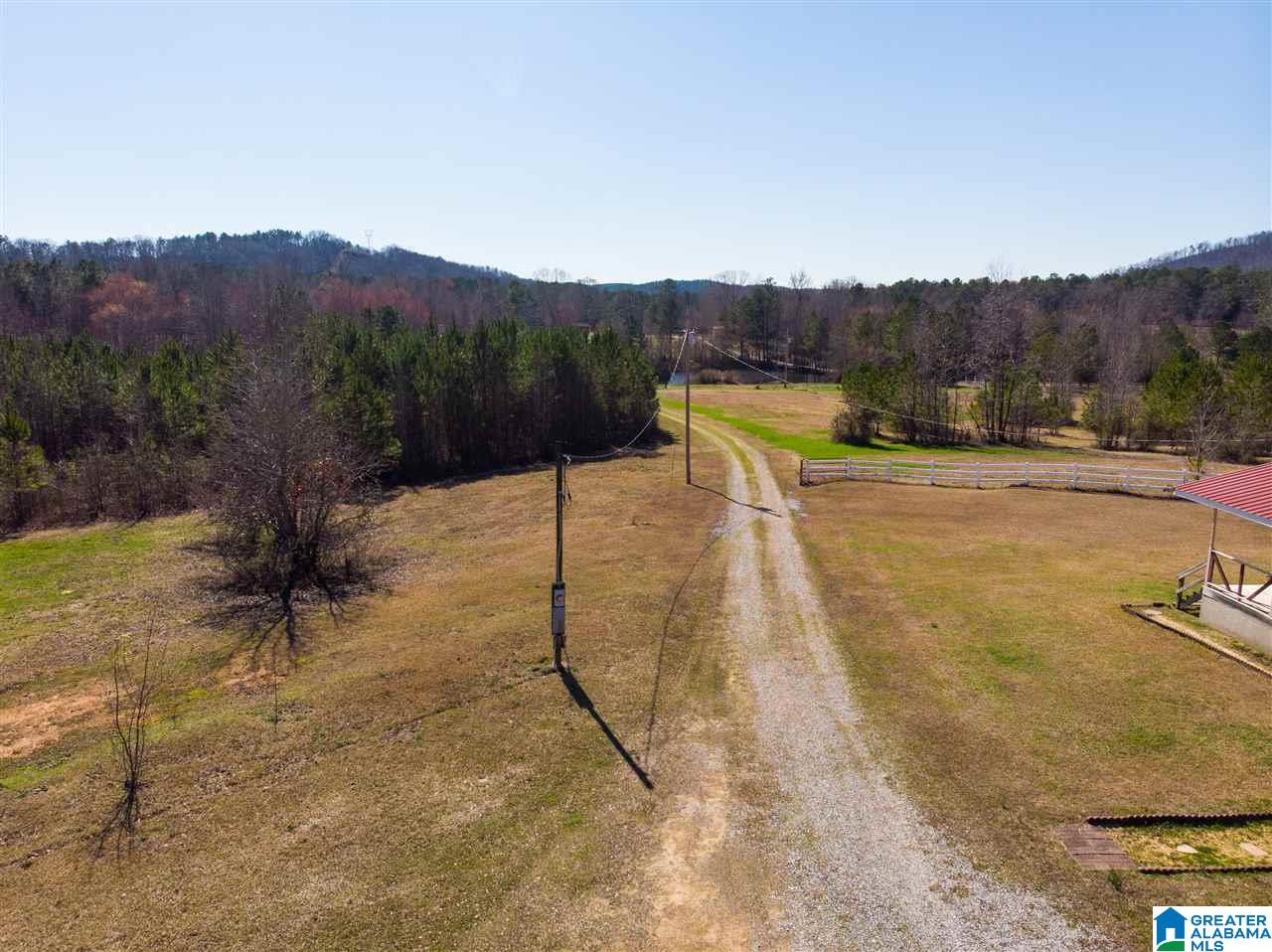 1430 Dripping Rock Road Piedmont, AL 36272 - Photo 12 of 41