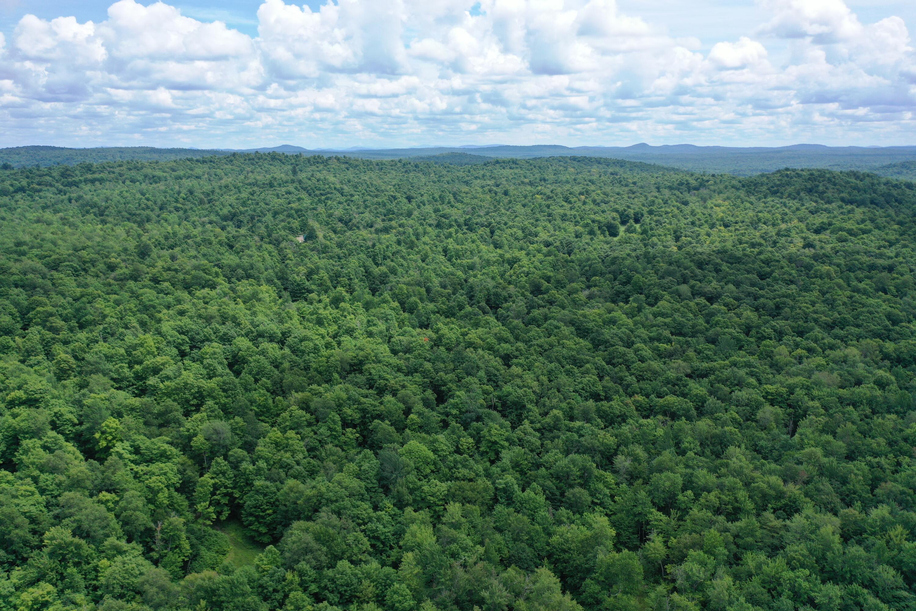 460 Little John Road Colton, NY 13625 - Photo 10 of 14 DJI_0991