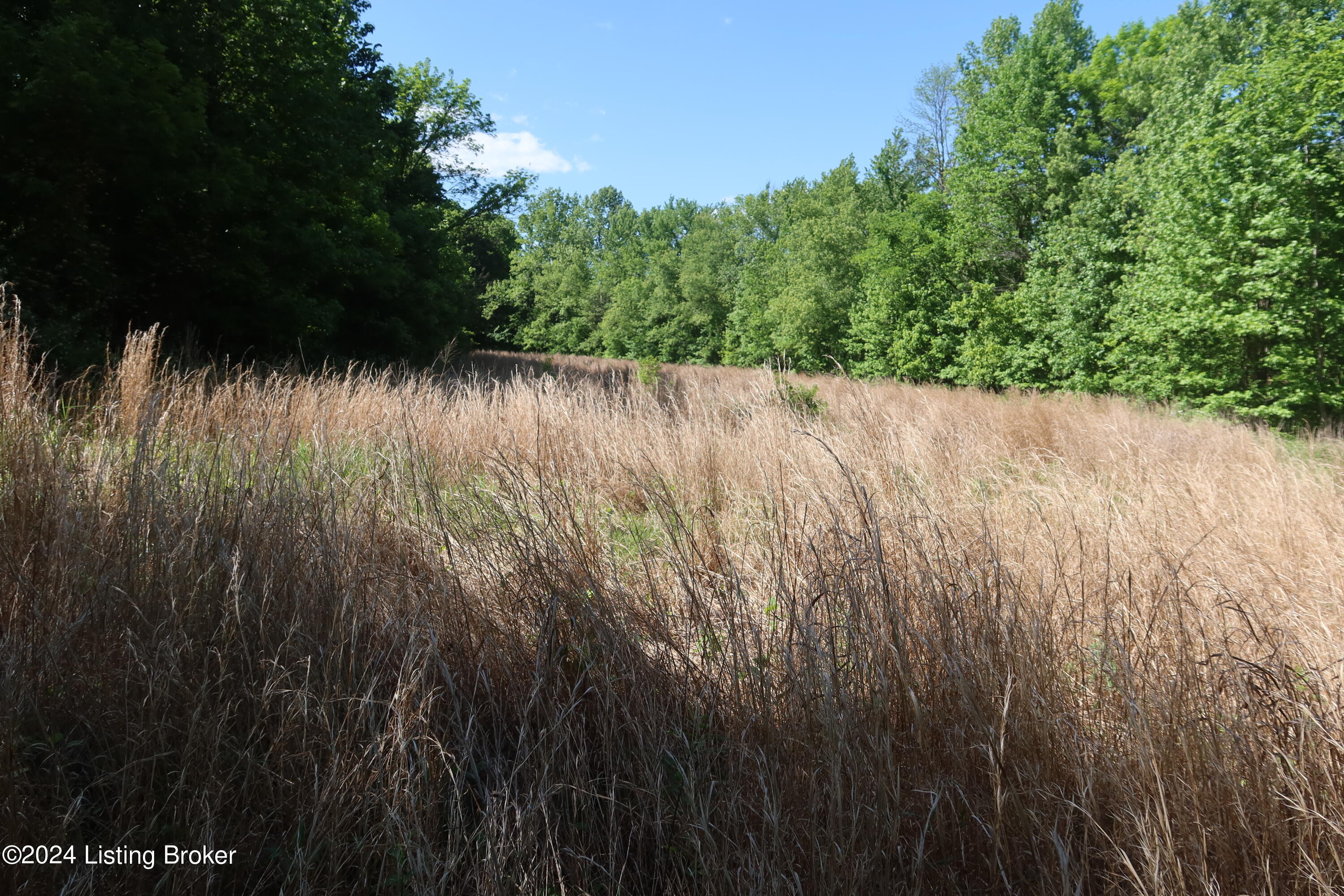 0 Schneider Road Falls Of Rough, KY 40119 - Photo 12 of 16 2024-05-11 04.35.59