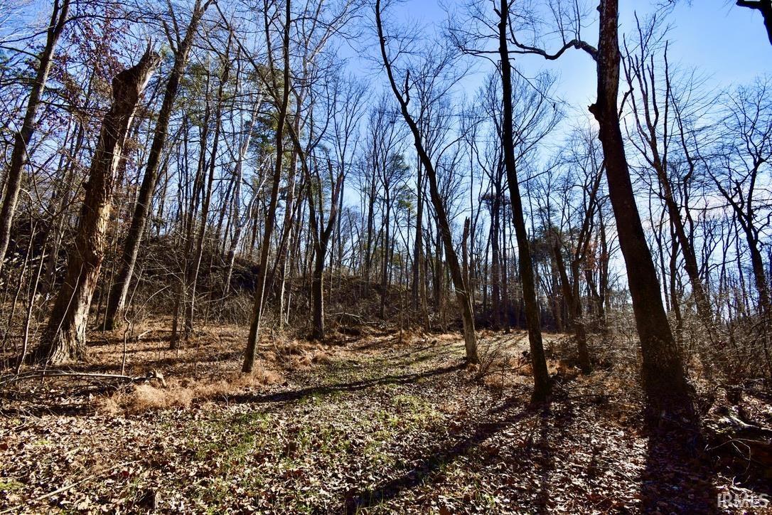 0 Ebeneezer Tennyson, IN 47637 - Photo 11 of 16