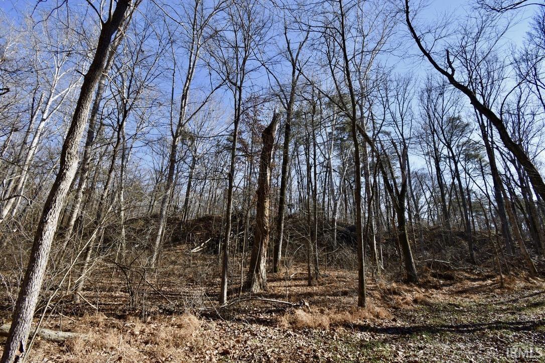 0 Ebeneezer Tennyson, IN 47637 - Photo 12 of 16