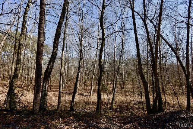 $890,000 | 0 Ebeneezer, Tennyson, IN 47637