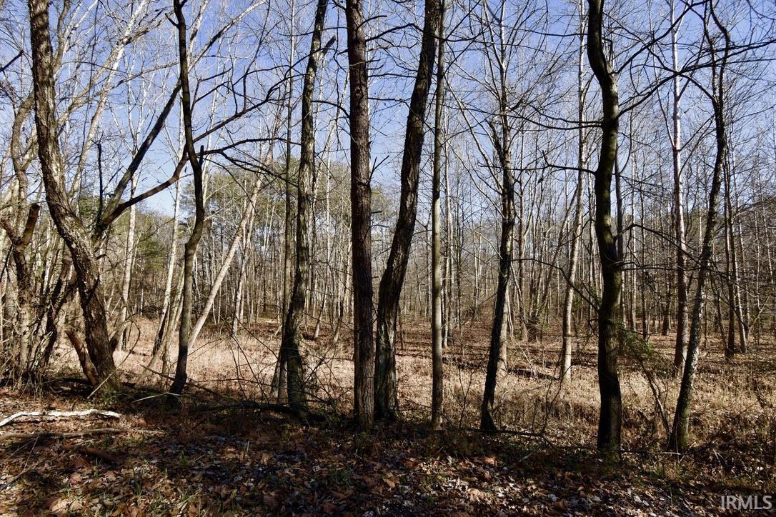 0 Ebeneezer Tennyson, IN 47637 - Photo 15 of 16