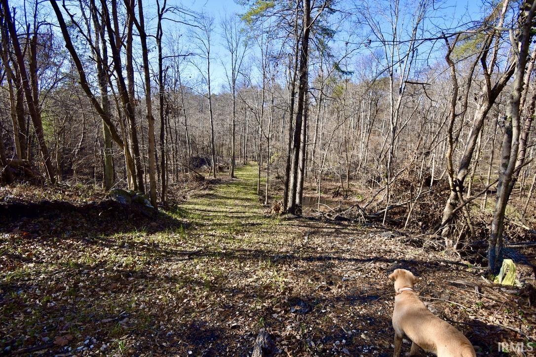 0 Ebeneezer Tennyson, IN 47637 - Photo 4 of 16