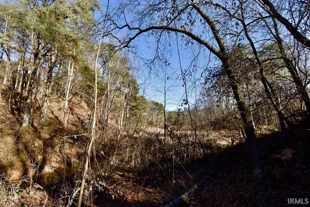 $890,000 | 0 Ebeneezer, Tennyson, IN 47637