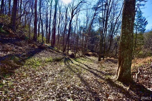 $890,000 | 0 Ebeneezer, Tennyson, IN 47637