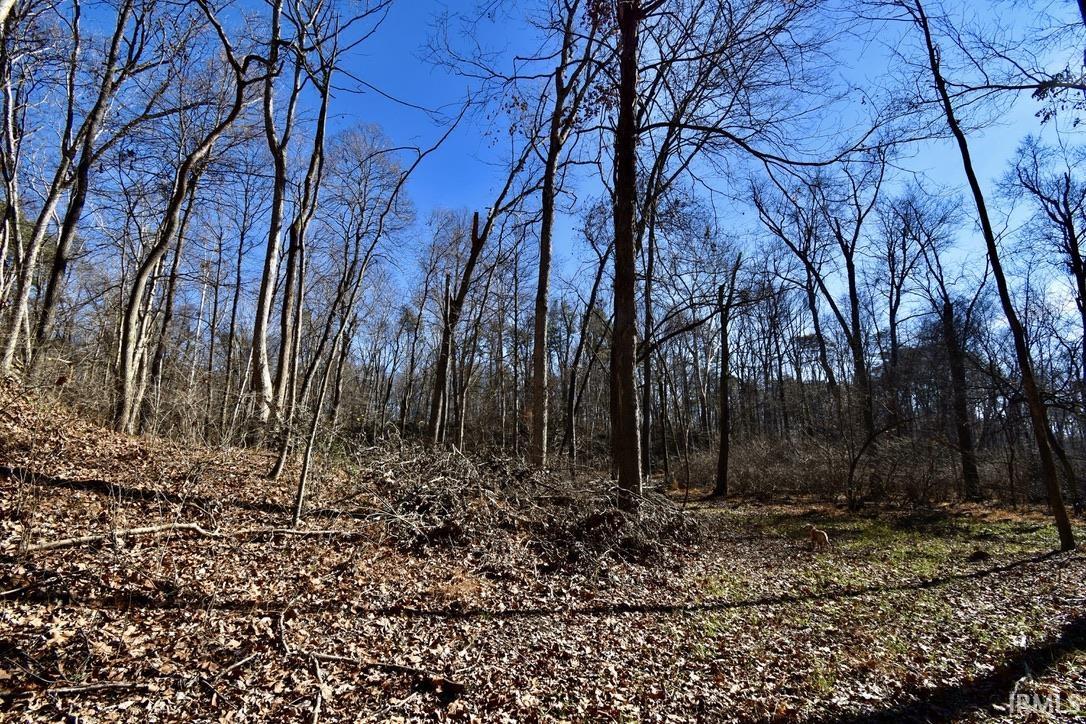 0 Ebeneezer Tennyson, IN 47637 - Photo 8 of 16