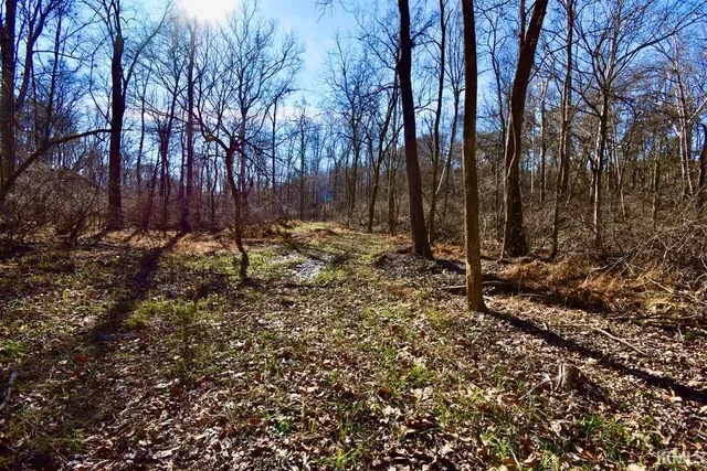 $890,000 | 0 Ebeneezer, Tennyson, IN 47637