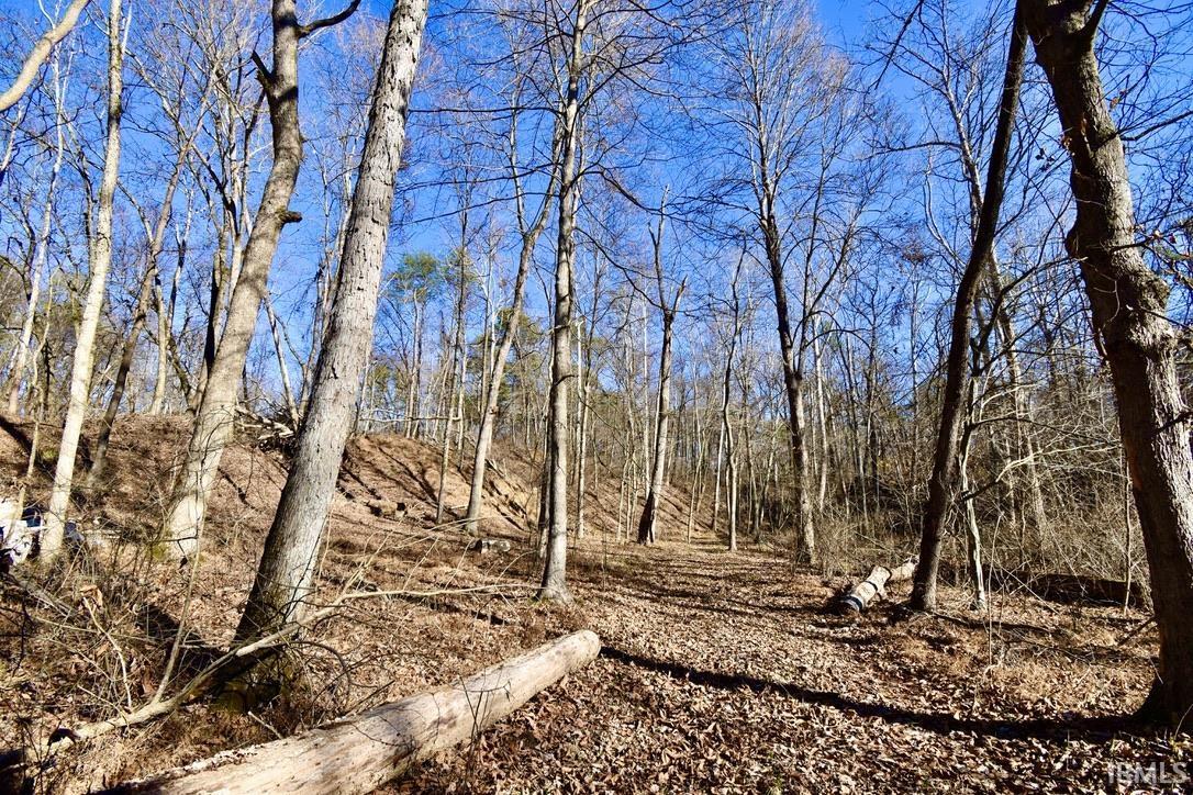 0 Ebeneezer Tennyson, IN 47637 - Photo 10 of 16