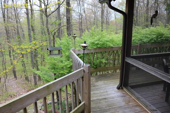 516 Raccoon Ridge Lane Sigel, PA 15860 - Photo 13 of 16 Gallery Image 13