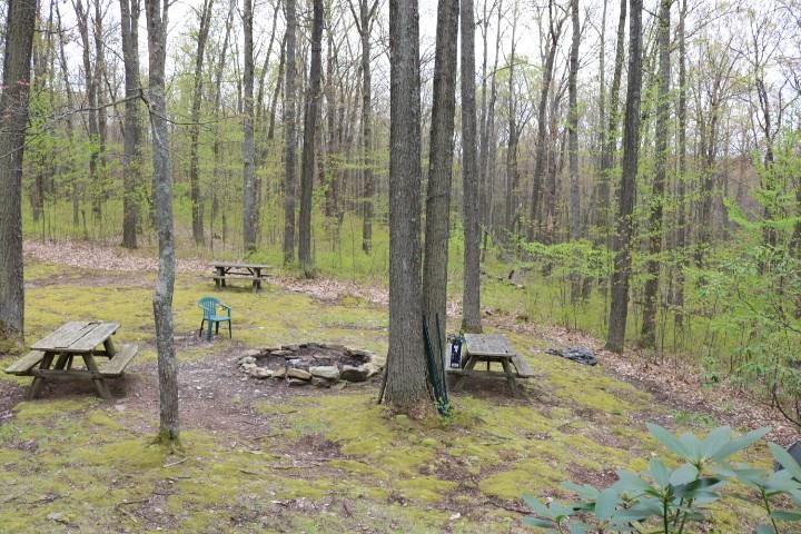 516 Raccoon Ridge Lane Sigel, PA 15860 - Photo 14 of 16 Gallery Image 14