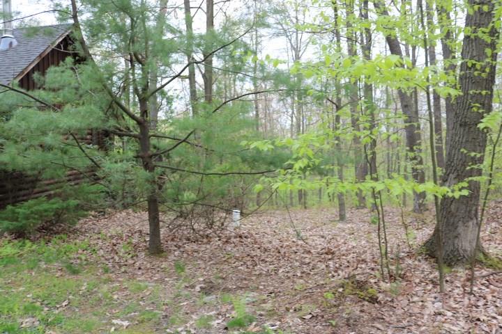 516 Raccoon Ridge Lane Sigel, PA 15860 - Photo 16 of 16 Gallery Image 16