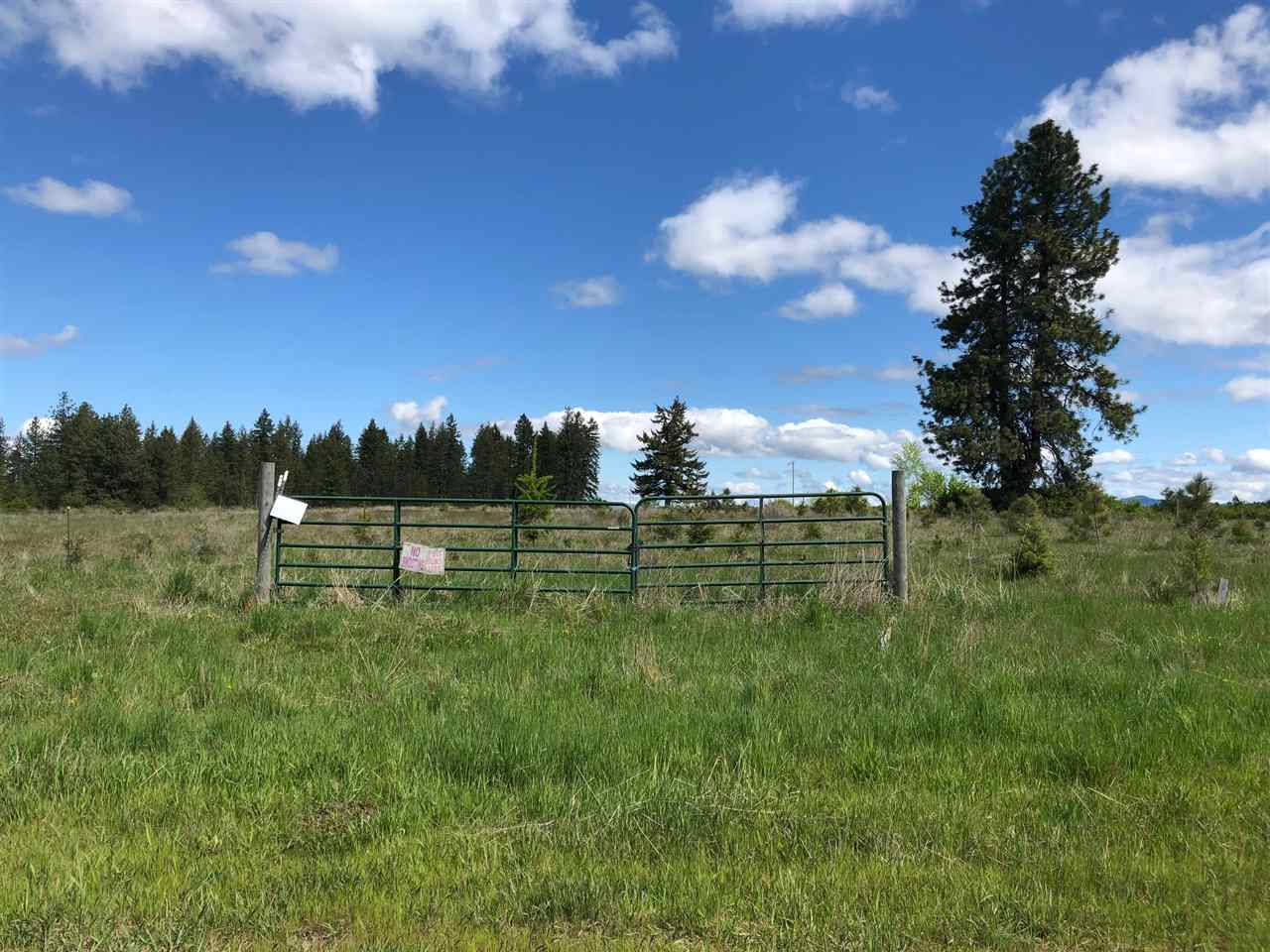0 East Orchard Bluff Road Chattaroy, WA 99003 - Photo 14 of 19 Gallery Image 14