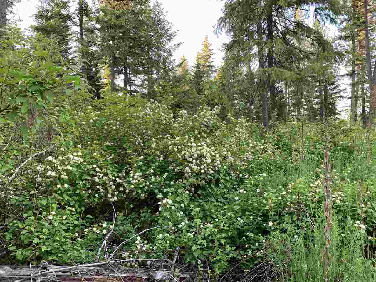0 East Orchard Bluff Road Chattaroy, WA 99003 - Photo 15 of 19 Gallery Image 15