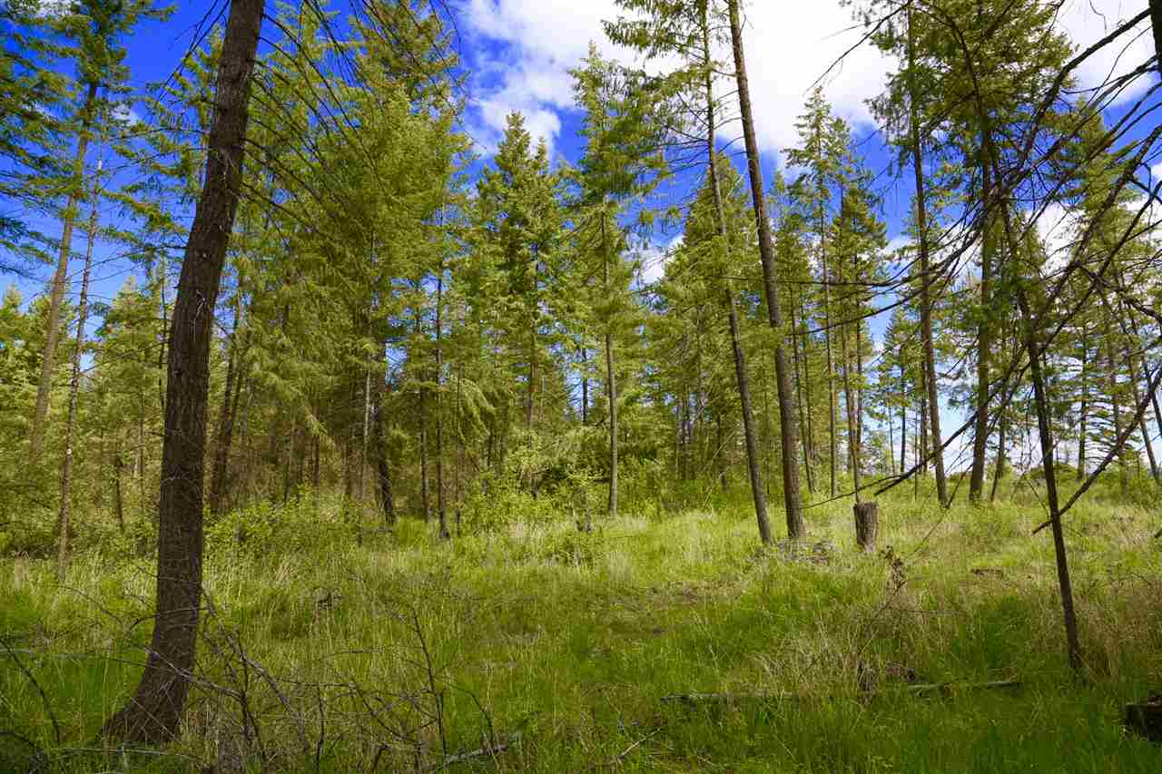 0 East Orchard Bluff Road Chattaroy, WA 99003 - Photo 16 of 19 Gallery Image 16