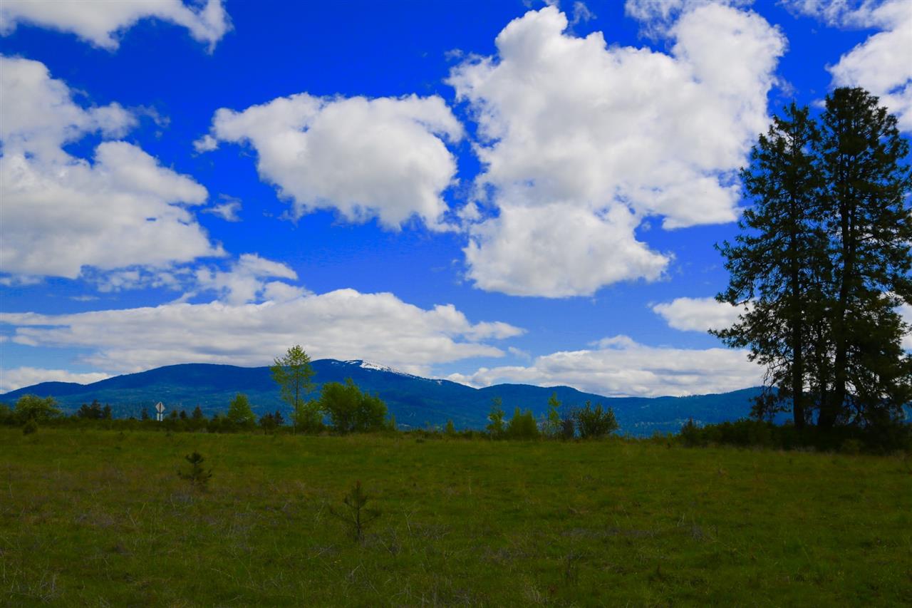 0 East Orchard Bluff Road Chattaroy, WA 99003 - Photo 17 of 19 Gallery Image 17