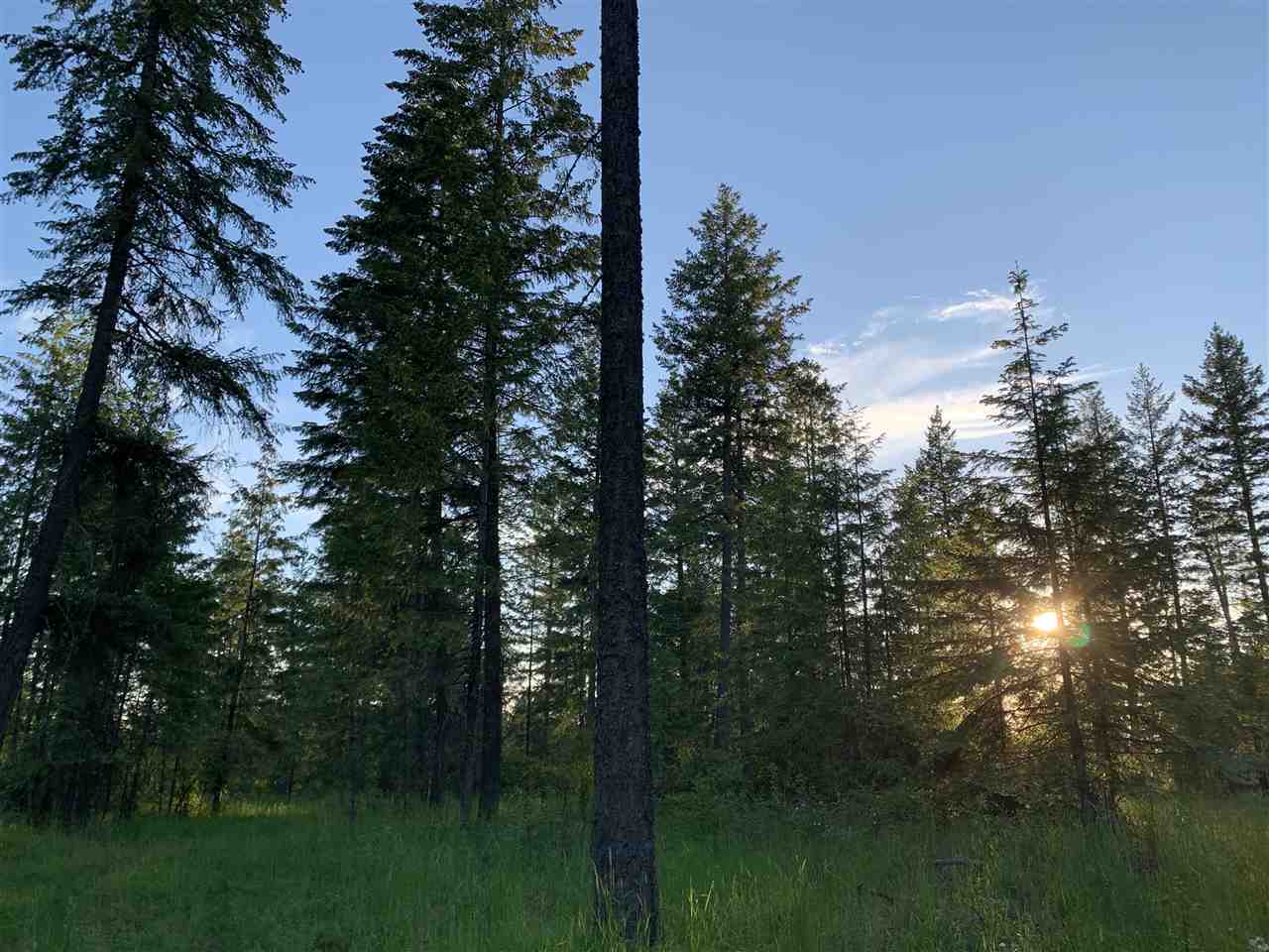 0 East Orchard Bluff Road Chattaroy, WA 99003 - Photo 19 of 19 Gallery Image 19
