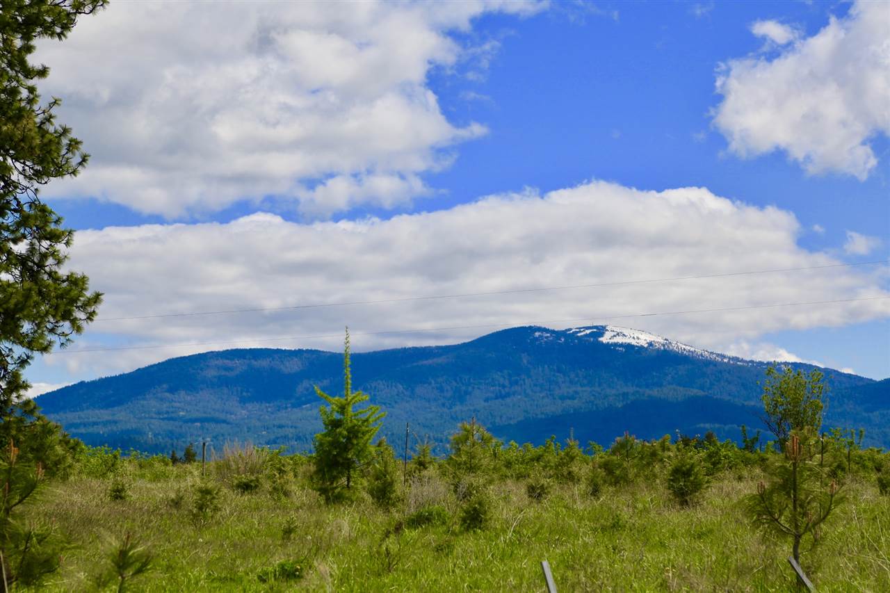 0 East Orchard Bluff Road Chattaroy, WA 99003 - Photo 4 of 19 Gallery Image 4
