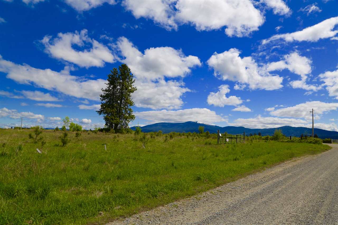 0 East Orchard Bluff Road Chattaroy, WA 99003 - Photo 5 of 19 Gallery Image 5