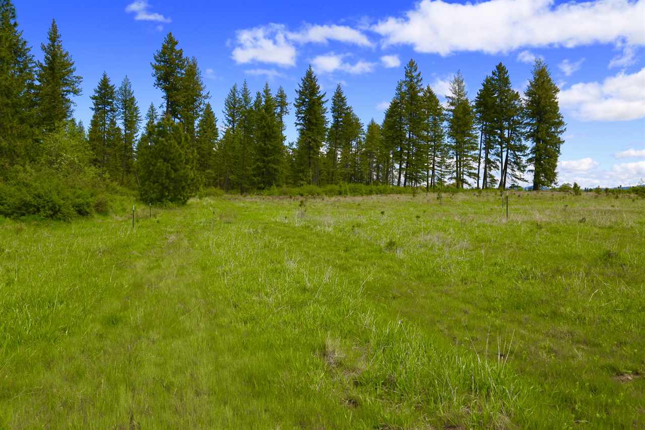 0 East Orchard Bluff Road Chattaroy, WA 99003 - Photo 8 of 19 Gallery Image 8