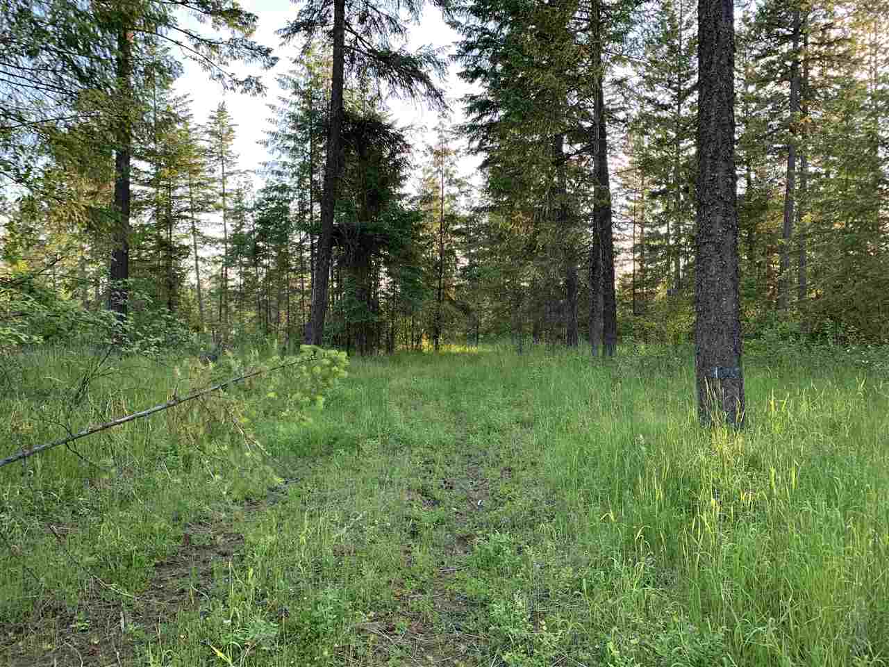 0 East Orchard Bluff Road Chattaroy, WA 99003 - Photo 10 of 19 Gallery Image 10