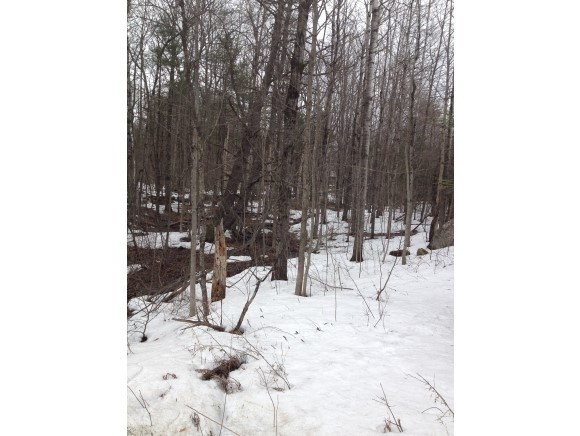 0 Blueberry Hill Road Meredith, NH 03253 - Photo 1 of 1