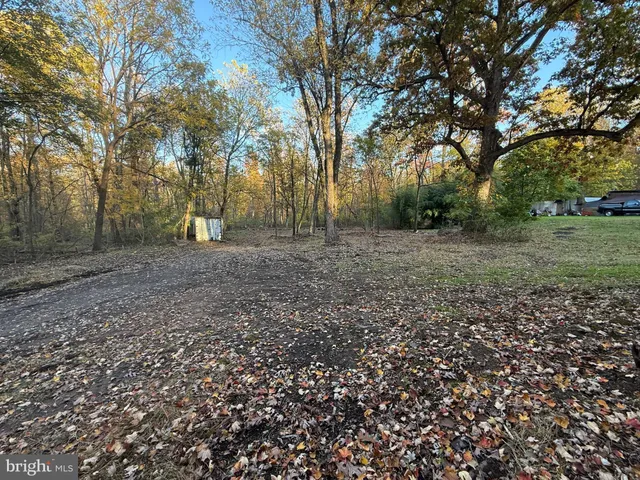 a view of a yard with large trees