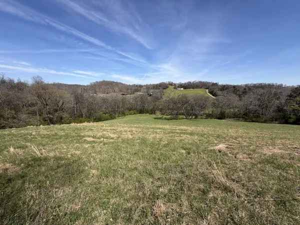 a view of a field