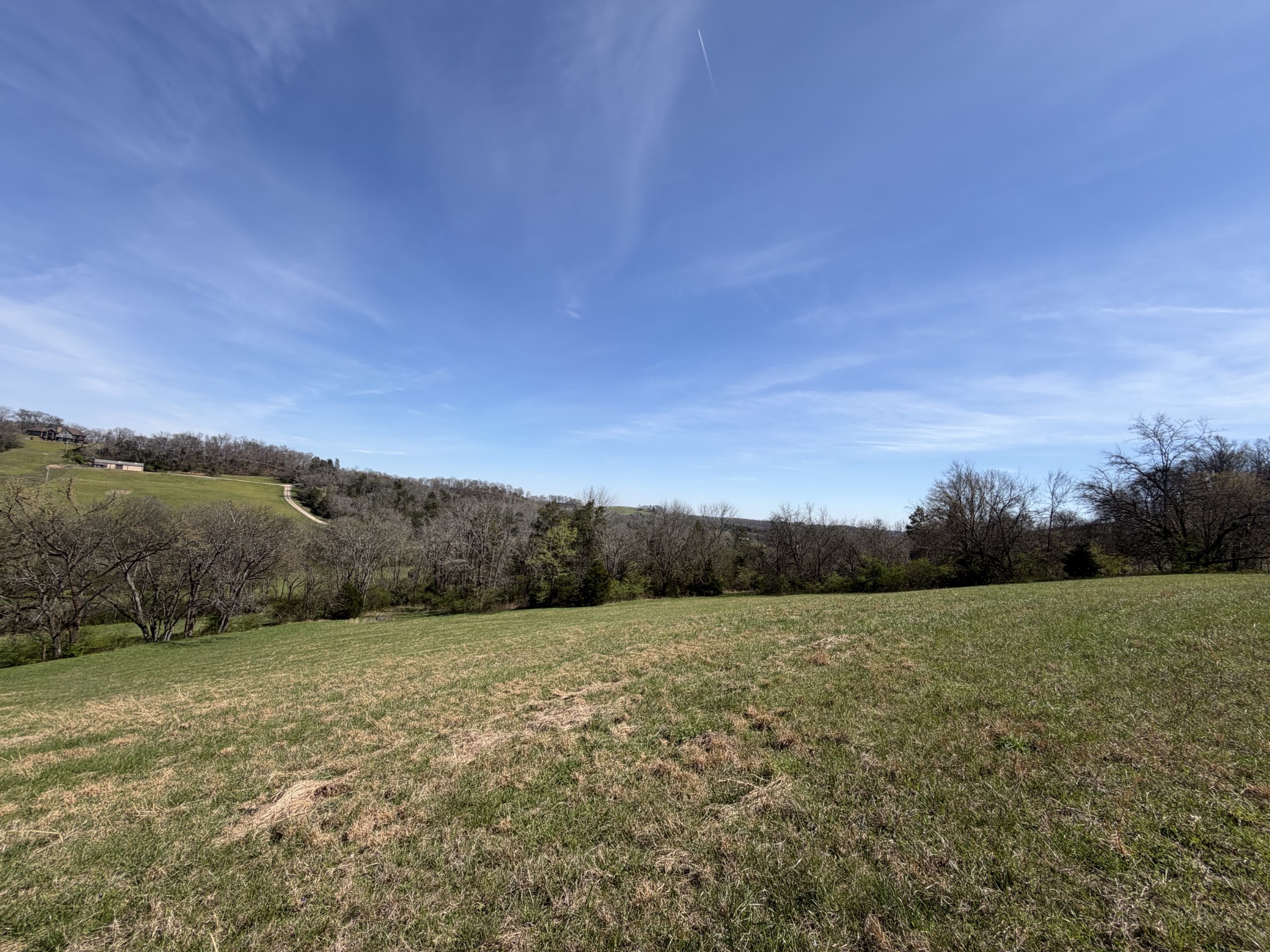 0 Fly Road Santa Fe, TN 38482 - Photo 16 of 30 a view of a field with trees in background