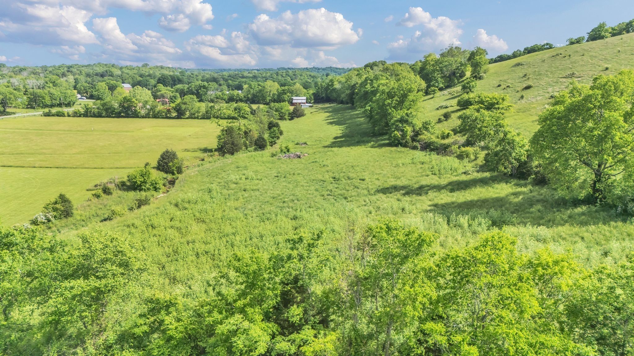 0 Fly Road Santa Fe, TN 38482 - Photo 28 of 30 a view of a garden with an ocean