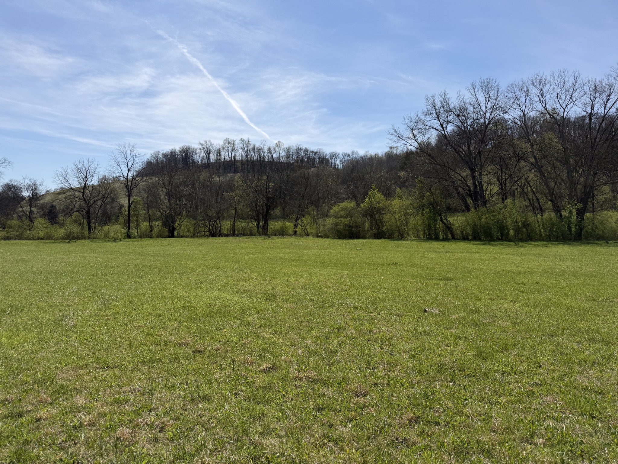 0 Fly Road Santa Fe, TN 38482 - Photo 4 of 30 a view of a field with trees in background