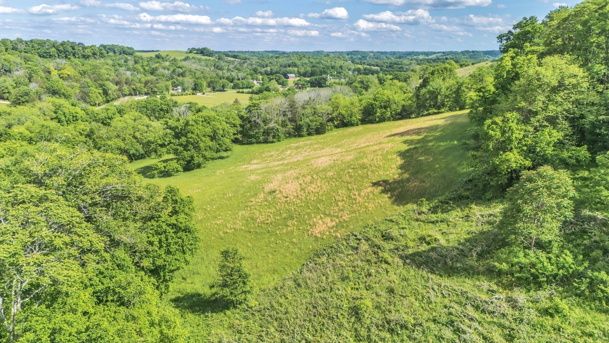 0 Fly Road Santa Fe, TN 38482 - Photo 5 of 13