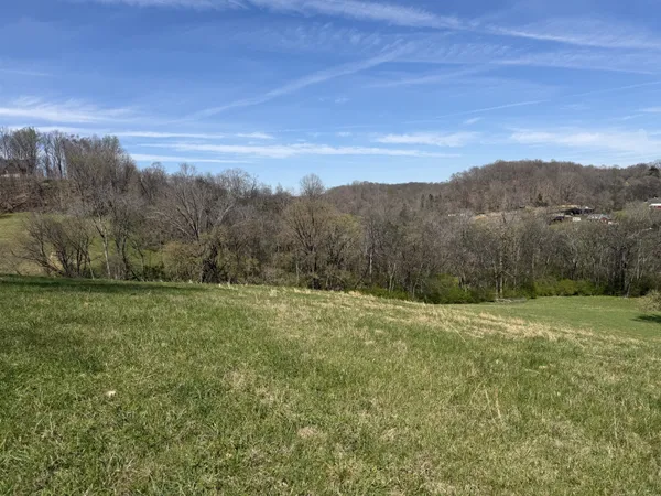 a view of a field with an ocean view