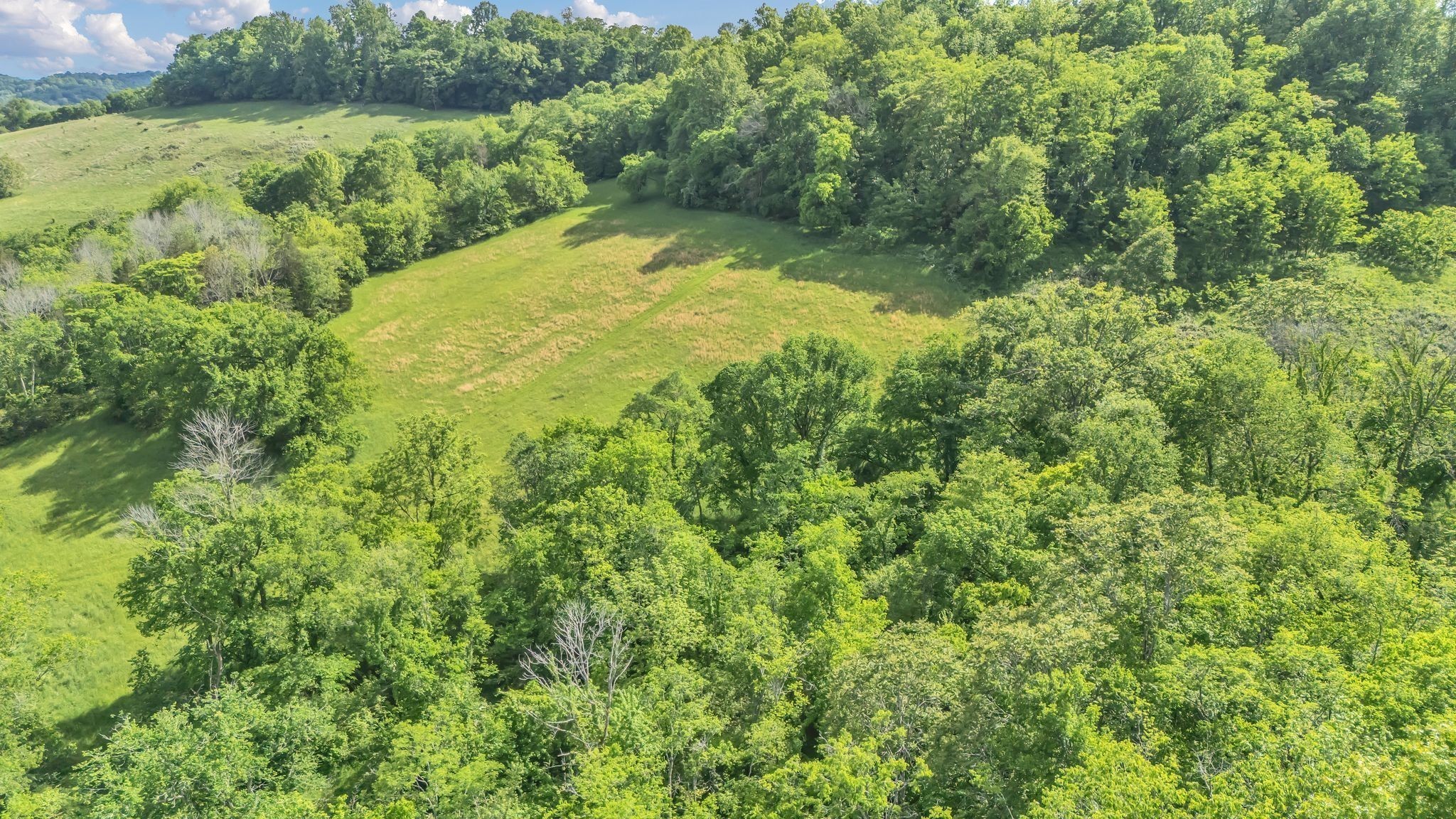 0 Fly Road Santa Fe, TN 38482 - Photo 9 of 13